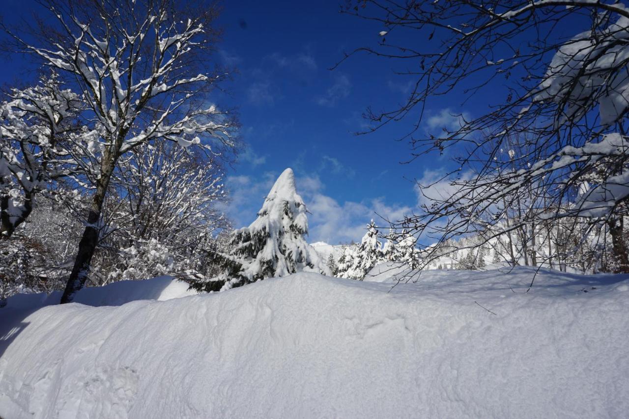 Haus Sonnenblick Ξενοδοχείο Bayrischzell Εξωτερικό φωτογραφία